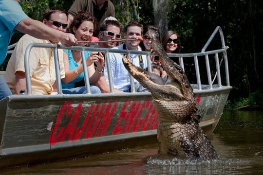 New Orleans Swamp and Bayou Boat Tour with Transportation
