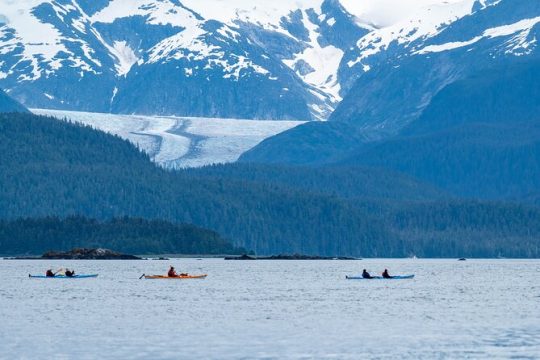 Juneau Shore Excursion: Paddle with Whales! Kayak Adventure