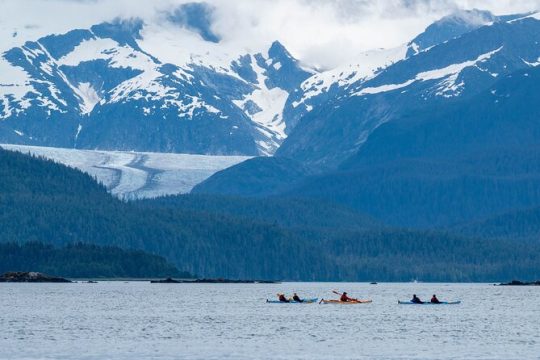 Paddle with Whales! Kayak Adventure
