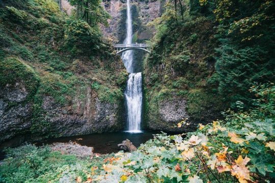 Full Day Gorge Waterfalls and Wine (Tasting Fees Included)