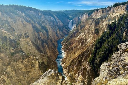 Yellowstone Lower Loop Full-Day Tour