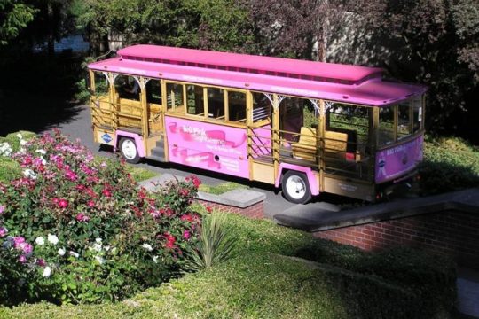 Portland Hop-On Hop-Off Pink Trolley Tour with Gray Line - 1 or 2 Day Pass