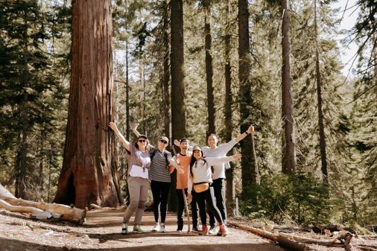 Yosemite National Park & Giant Sequoias 2-Day Semi-Guided Tour
