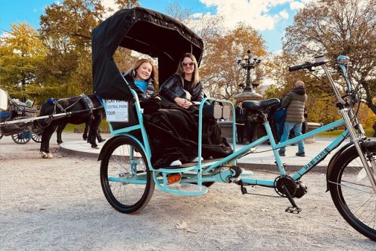 Central Park Private Pedicab Tour (2hrs)