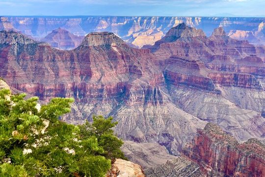Grand Canyon National Park South Rim Tour from Las Vegas with Lunch