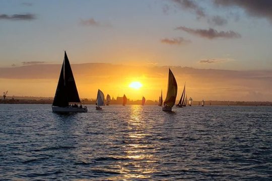 Sunset Sailing Tour of San Diego Bay up to 6 Guests