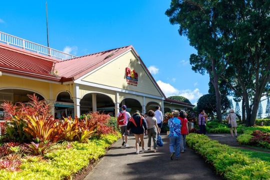 Oahu 10 Stop Circle Island Tour + Byodo-Inn+ Free Dole Pineapple
