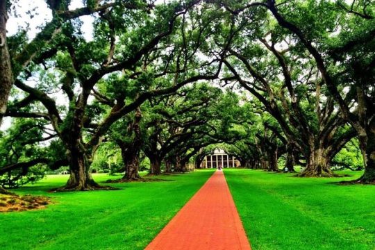 Plantations and Bayou Private Day Tour