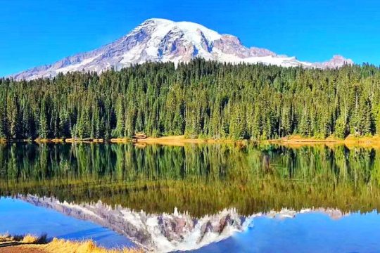 BEST Mount Rainier National Park Day Tour from Seattle