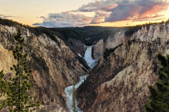 VIP Yellowstone Private Tour from Jackson WY
