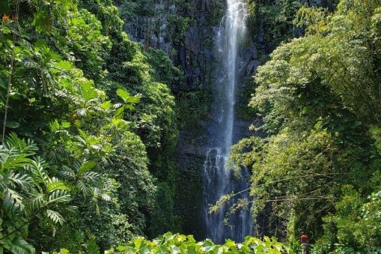 Road to Hana Adventure - Private - Just for Your Family or Group