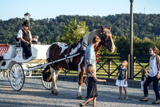 Private Chattanooga Horse & Carriage Tour