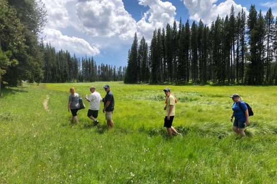 Private Hidden Gems of Yellowstone! Lunch w/ family friendly hikes included!
