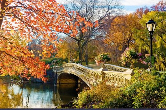 Central Park Guided Tour