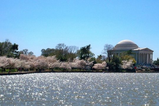 Blossoming Friendship: A Self-Guided Audio Tour of Washington D.C.’s Tidal Basin