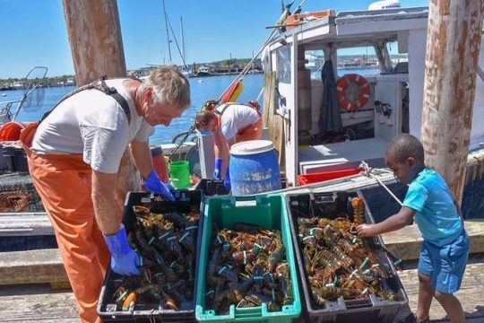 Boston to Kennebunkport with Optional Lobster Tour