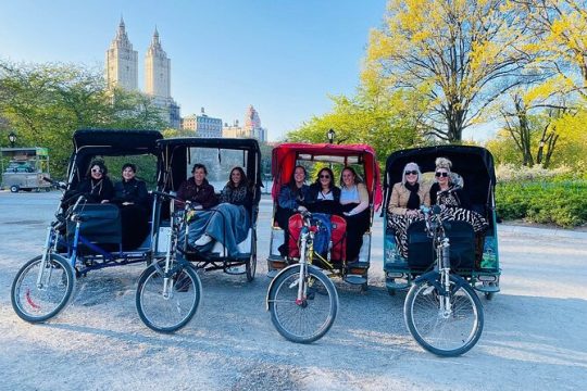 New York City: Guided Private Pedicab Tour in Central Park