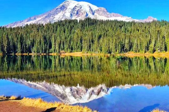 2-Day Mount Rainier & Olympic National Parks Tour from Seattle