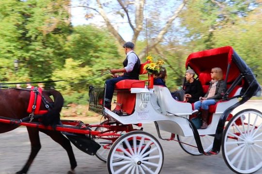 Guided Standard Central Park Horse Carriage Ride (Up to 4 Adults)