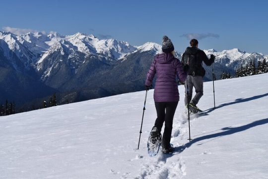 Hurricane Ridge Guided Snowshoe Tour in Olympic National Park