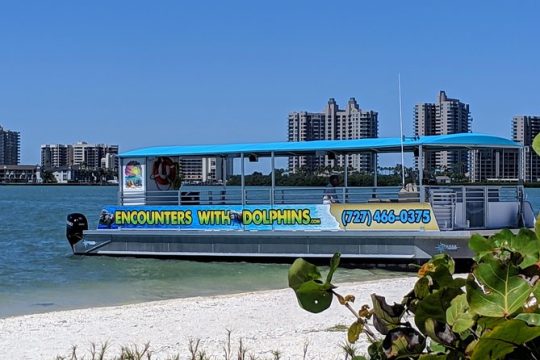 Clearwater Encounters with Dolphins Tour
