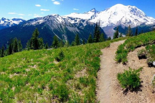 Hike Mt. Rainier & Taste Yakima Valley Wine: All-Inclusive Day Tour from Seattle