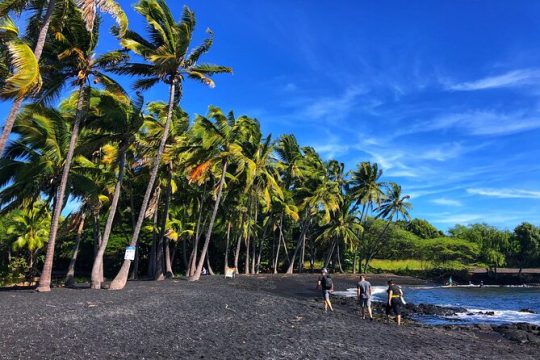 Small-Group Big Island Tour: Hawaii Volcanoes National Park and Kona Coffee Farm