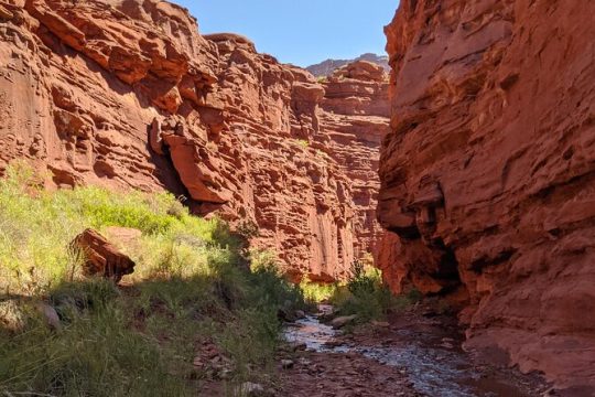 Moab's Best Kept Secret: Private Cool Summer Stream Hike