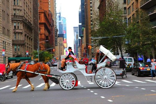 NYC Horse Carriage Ride in Central Park (50 Min. Up to 4 Adults)