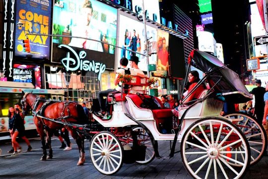Central Park, Rockefeller & Times Square Carriage Ride (4 Adults)