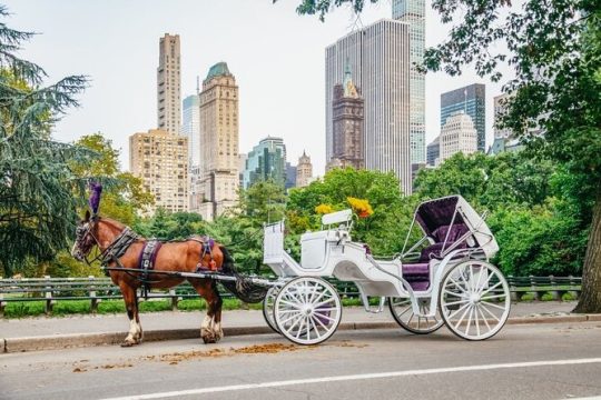 Private NYC Central Park Horse Carriage Ride (Guided) Since 1965™