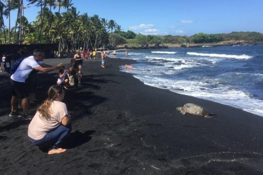 Hawaii Big Island Customized Private Tour