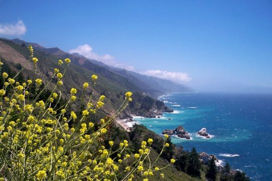 California Coast Big Sur Monterey to Los Angeles - 2 Day