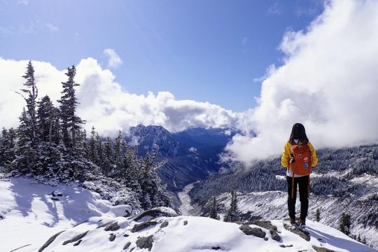 Best of Mount Rainier National Park from Seattle: All-Inclusive Small-Group Tour