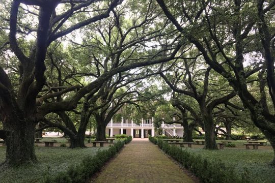 Whitney Plantation Private Tour With Round-Trip Transportation