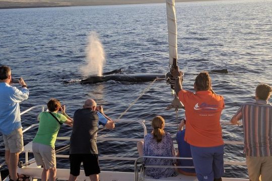 Pau Hana Sunset Cruise with the Whales
