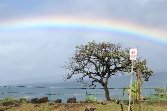 Maui Tour : Iao Valley, Hawaiian Distillery and Lavender Farm Tour