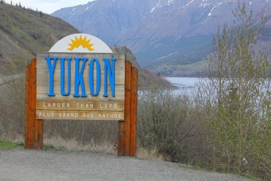 Half-Day Yukon Sightseeing Shore Excursion from Skagway