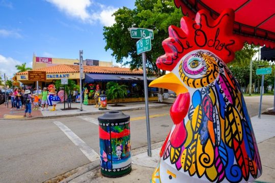 Miami City and Boat Tour Little Havana Included Plus FREE Bike Rental in SoBe