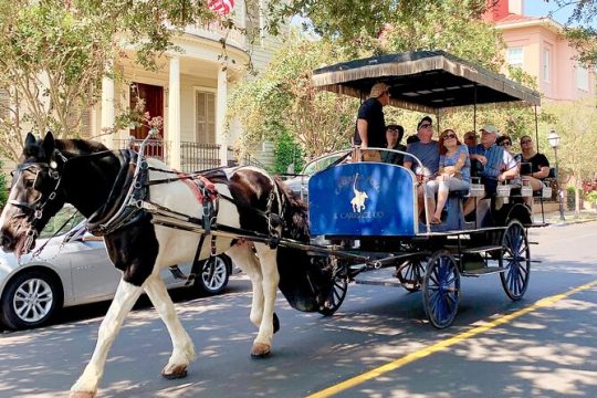 Historic Horse and Carriage Tour of Charleston