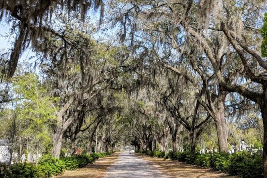 Private Tour of Savannah's Historic/Victorian Districts & Bonaventure Cemetery