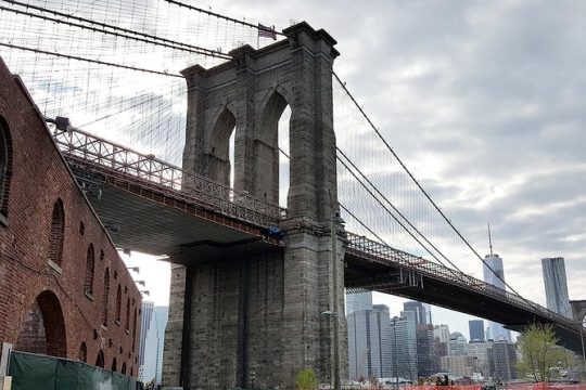 Private Brooklyn Walking Tour: Brooklyn Bridge DUMBO and Brooklyn Heights