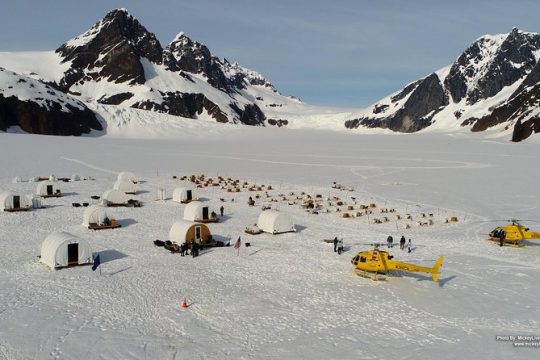 Juneau Shore Excursions: Helicopter Dogsledding Experience and Additional Glacier Landing