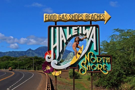 Private North Shore of Oahu Tour