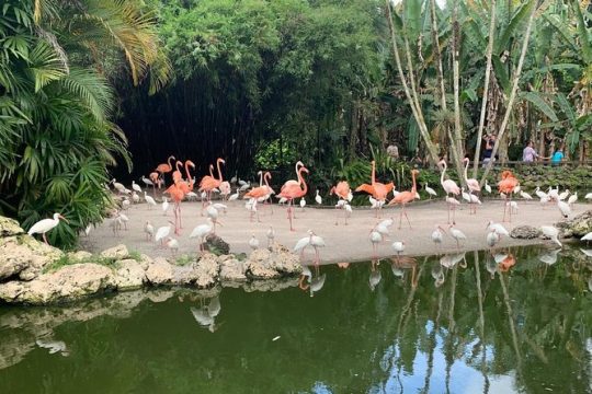 Skip the Line: Flamingo Gardens Admission Ticket in Fort Lauderdale