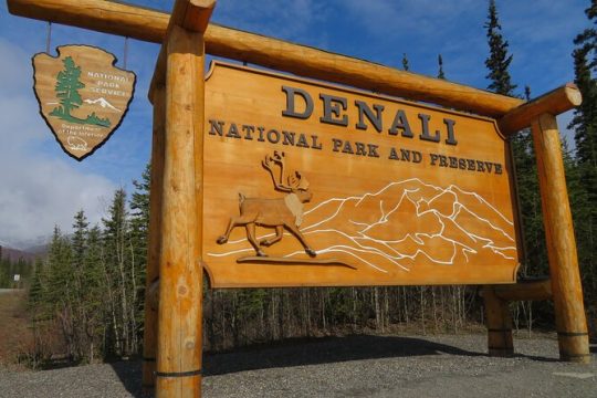 10 Hours Denali Winter Drive in Alaska