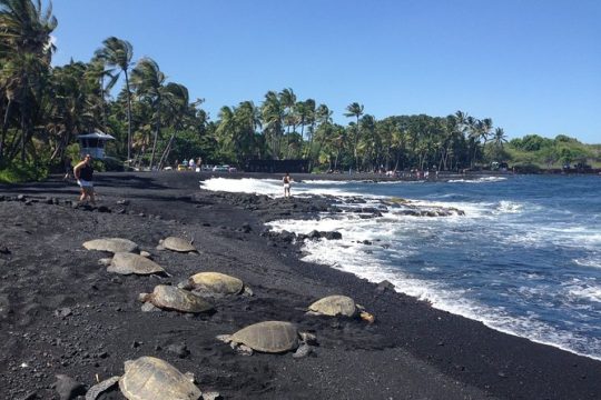 Hawaii Big Island Circle Small Group Tour: Waterfalls - Hilo - Volcano - Black Sand Beach