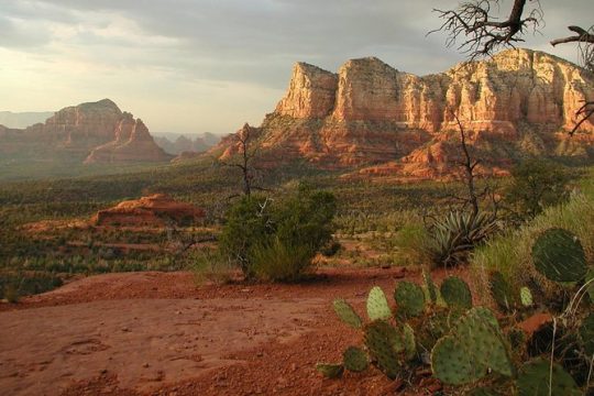 Small Group or Private Sedona and Native American Ruins Day Tour
