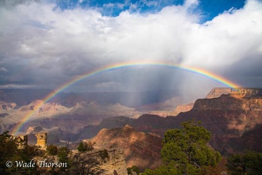 Private Grand Canyon Sightseeing Tour from Flagstaff