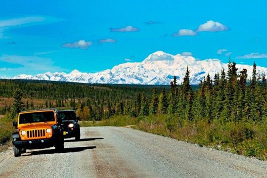 Denali Highway Jeep Excursion